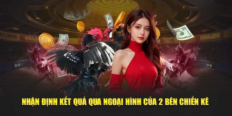 Nhận định kết quả qua ngoại hình của 2 bên chiến kê